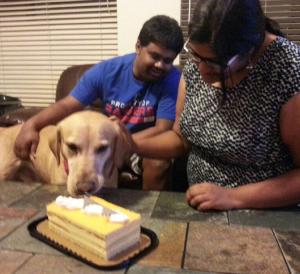 Delicious Mango Cake!!