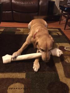 Its almost as tall as I am!!